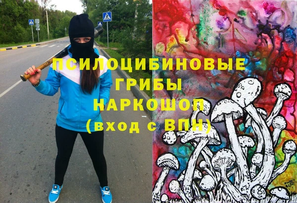 дмт Осташков